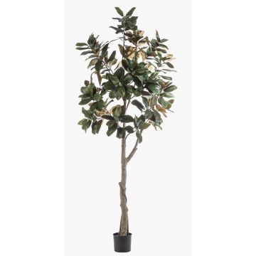 Albero di magnolia Yulan artificiale BELLITA, tronco artificiale, verde oliva, 240 cm