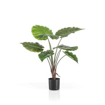 Pianta artificiale Alocasia Calidora FAYOR, verde, 70 cm