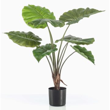 Pianta artificiale Alocasia Calidora FAYOR, verde, 70 cm