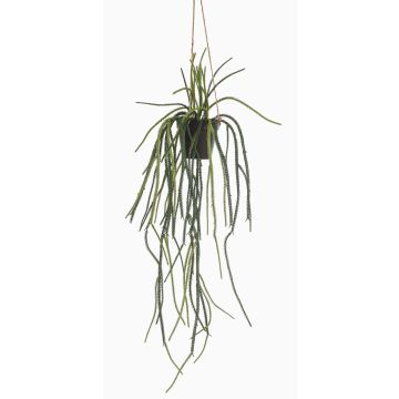 Fioriera artificiale Rhipsalis pilocarpa JEXIA, vaso decorativo, verde, 85 cm