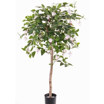 Fuchsia sintetica MINERVA, tronco vero, fiori, rosa pallido, 90cm Fuchsia sintetica MINERVA, tronco vero, fiori, rosa pallido, 90cm