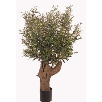 Ulivo finto KAHOLO, tronco artificiale, resiste intemperie, verde, 140cm Ulivo finto KAHOLO, tronco artificiale, resiste intemperie, verde, 140cm