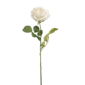 Rosa artificiale BRUNETTE, bianca, 70 cm, Ø 11 cm Rosa artificiale BRUNETTE, bianca, 70 cm, Ø 11 cm