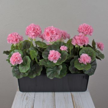 Gerani artificiali FLOREANA in fioriera, 3 pezzi, rosa chiaro, 40x15x35 cm