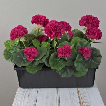 Gerani artificiali FLOREANA in fioriera, 3 pezzi, rosa shocking, 40x15x35 cm