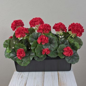 Gerani artificiali FLOREANA in fioriera, 3 pezzi, rossi, 40x15x35 cm