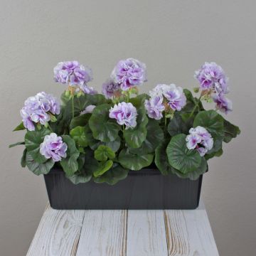 Gerani artificiali FLOREANA in fioriera, 3 pezzi, viola-bianco, 40x15x35 cm Gerani artificiali FLOREANA in fioriera, 3 pezzi, viola-bianco, 40x15x35 cm
