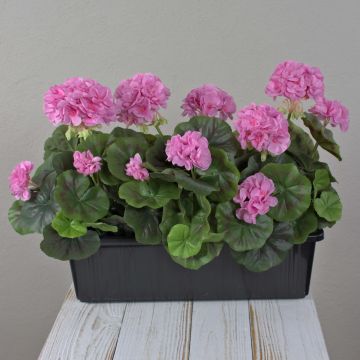 Gerani artificiali FLOREANA in fioriera, 3 pezzi, viola, 40x15x35 cm Gerani artificiali FLOREANA in fioriera, 3 pezzi, viola, 40x15x35 cm