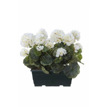 Gerani artificiali FLOREANA in fioriera, 2 pezzi, bianchi, 24x11x35 cm