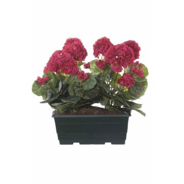 Gerani artificiali FLOREANA in fioriera, 2 pezzi, rosa, 24x11x35 cm Gerani artificiali FLOREANA in fioriera, 2 pezzi, rosa, 24x11x35 cm
