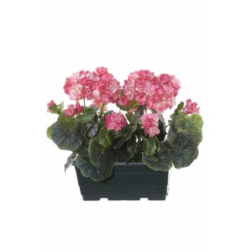 Gerani artificiali FLOREANA in fioriera, 2 pezzi, rosa scuro, 24x11x35 cm Gerani artificiali FLOREANA in fioriera, 2 pezzi, rosa scuro, 24x11x35 cm