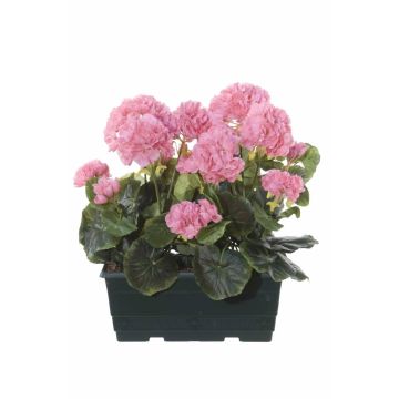 Gerani artificiali FLOREANA in fioriera, 2 pezzi, rosa chiaro, 24x11x35 cm Gerani artificiali FLOREANA in fioriera, 2 pezzi, rosa chiaro, 24x11x35 cm