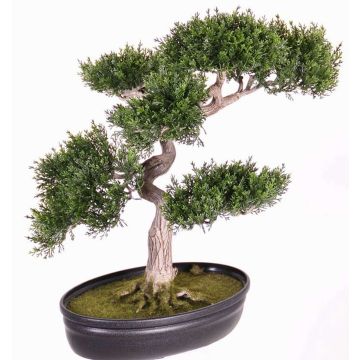 Cedro bonsai sintetico JARNO, con radici, in ciotola, verde, 40cm Cedro bonsai sintetico JARNO, con radici, in ciotola, verde, 40cm