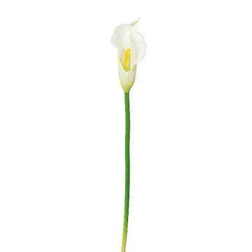 Fiore artificiale Calla PERKAN, bianco, 35 cm