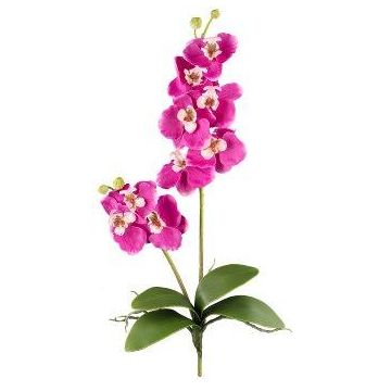 Orchidea Phalaenopsis in tessuto MORLEK, bastoncino, radici, rosa, 60 cm