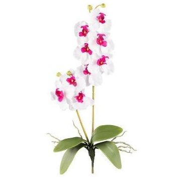 Orchidea Phalaenopsis in tessuto MORLEK, bastoncino, radici, bianco-lilla, 60 cm