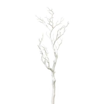 Ramo di betulla decorativo SNEFLO, bianco, 75 cm