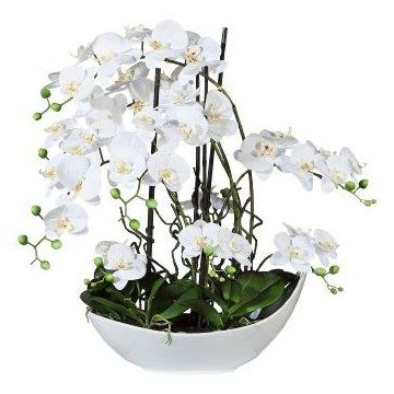 Orchidea artificiale salice contorto TANIN, vaso in ceramica, radici, bianco, 70 cm