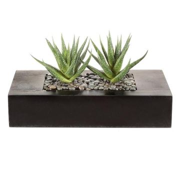 Pianta succulenta artificiale Aloe variegata FRONZ in scatola di legno, verde-bianco, 24x11x14 cm