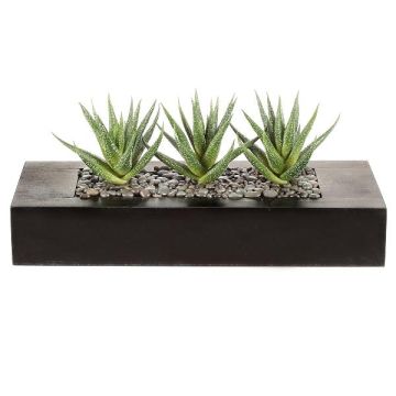 Succulenta artificiale Aloe variegata FRONZ in scatola di legno, verde-bianco, 36x15,5x16 cm