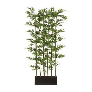 Divisorio artificiale in bambù giapponese KAWAI in scatola di legno, tronchi naturali, 115x50x195 cm Divisorio artificiale in bambù giapponese KAWAI in scatola di legno, tronchi naturali, 115x50x195 cm