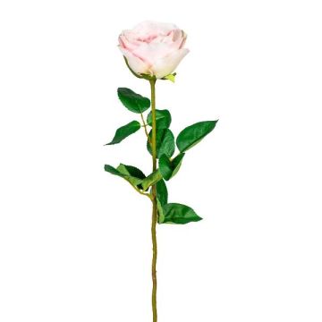 Fiore decorativo Rosa NORLAN, rosa, 70 cm Fiore decorativo Rosa NORLAN, rosa, 70 cm