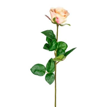 Fiore decorativo rosa NORLAN, rosa chiaro, 70 cm Fiore decorativo rosa NORLAN, rosa chiaro, 70 cm
