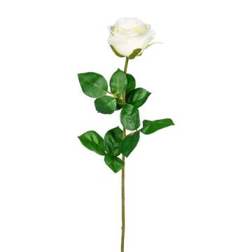 Fiore decorativo rosa NORLAN, crema, 70 cm Fiore decorativo rosa NORLAN, crema, 70 cm