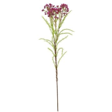 Ramo artificiale di fiori di cera MEDEA, fucsia, 80 cm, Ø 6 cm Ramo artificiale di fiori di cera MEDEA, fucsia, 80 cm, Ø 6 cm