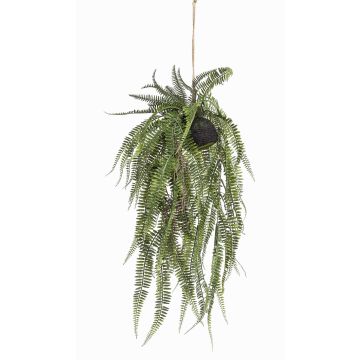 Pianta artificiale felce reale MANASLU, globo, radici, verde, 70 cm Pianta artificiale felce reale MANASLU, globo, radici, verde, 70 cm
