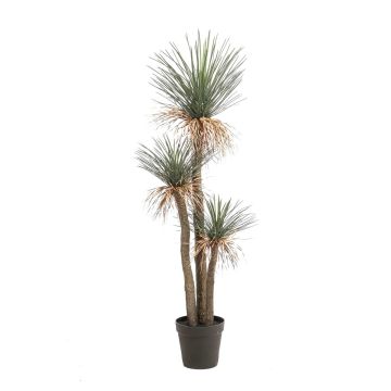 Yucca rostrata artificiale DENALI in vaso decorativo, 180 cm