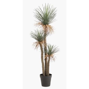 Yucca rostrata artificiale DENALI in vaso decorativo, 180 cm Yucca rostrata artificiale DENALI in vaso decorativo, 180 cm