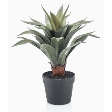 Pianta artificiale succulenta agave drago RUPUN in vaso decorativo, verde, 45 cm