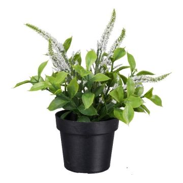 Fiore artificiale veronica GRINTOL in vaso decorativo, bianco, 18 cm