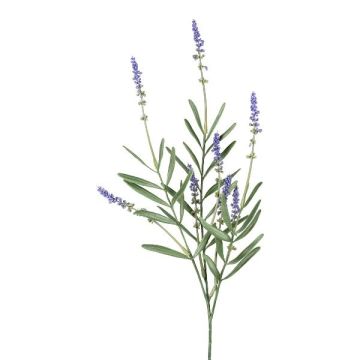 Ramo decorativo lavanda DREVOR, viola, 50 cm