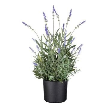 Fiore decorativo lavanda JARFA, viola, 50 cm