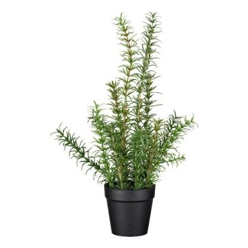 Erba artificiale rosmarino VENTALI in vaso decorativo, verde, 40 cm Erba artificiale rosmarino VENTALI in vaso decorativo, verde, 40 cm