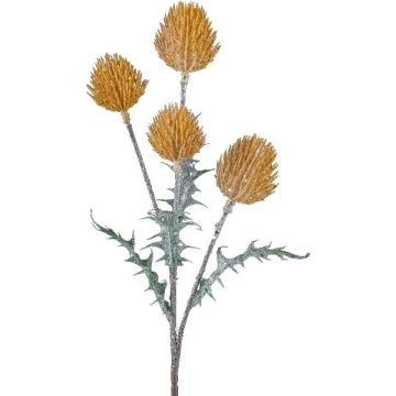 Ramo decorativo cardo KRILMO, sabbia, 40 cm