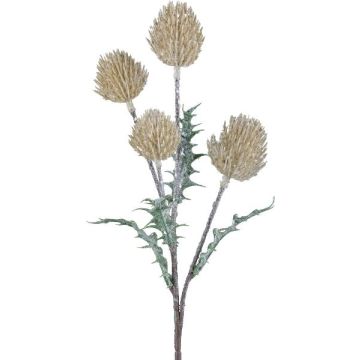 Ramo decorativo cardo selvatico KRILMO, vaniglia, 40 cm