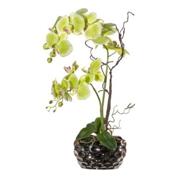 Composizione floreale artificiale orchidea salice contorto TICHIO, vaso decorativo, radici, verde, 55 cm