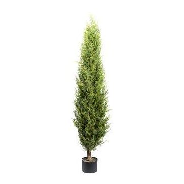 Albero artificiale Thuja QUINSA, tronco artificiale, verde, 150 cm
