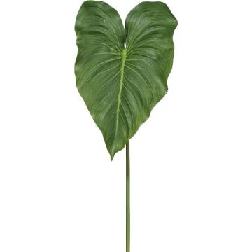 Foglia artificiale calla LORTE, verde, 75 cm