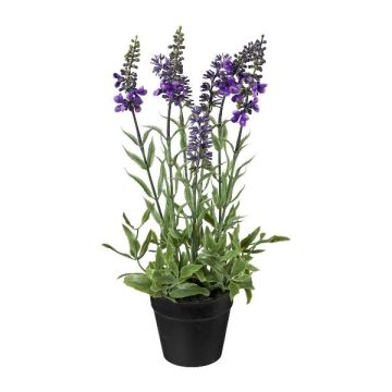 Fiore decorativo lavanda KENSY in vaso decorativo, viola, 30 cm