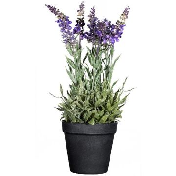 Fiore decorativo lavanda KENSY in vaso decorativo, viola, 35 cm