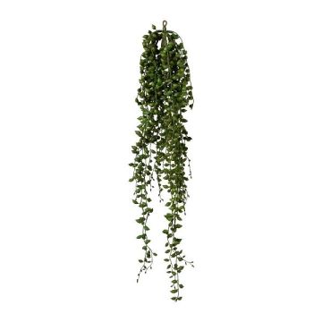 Pianta grassa artificiale Senecio FLINKO, pendente, verde, 90 cm
