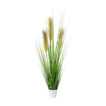 Erba artificiale Pampas FONZA in vaso decorativo, pannocchie, marrone-giallo, 80cm
