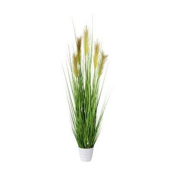 Erba artificiale Pampas FONZA in vaso decorativo, pannocchie, marrone-giallo, 110cm