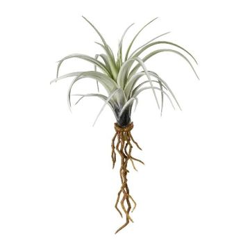 Succulenta artificiale Tillandsia stricta SNELDON con radici, verde, 22 cm