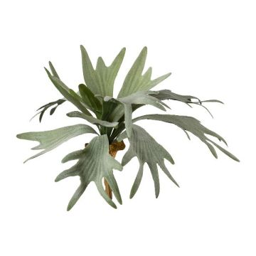 Pianta artificiale felce corna di cervo SLUHAR, bastoncino, verde, 35cm