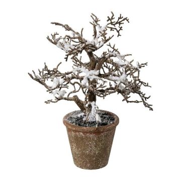 Albero artificiale faggio BONKA, senza foglie, innevato, vaso decorativo, bianco-marrone, 24 cm